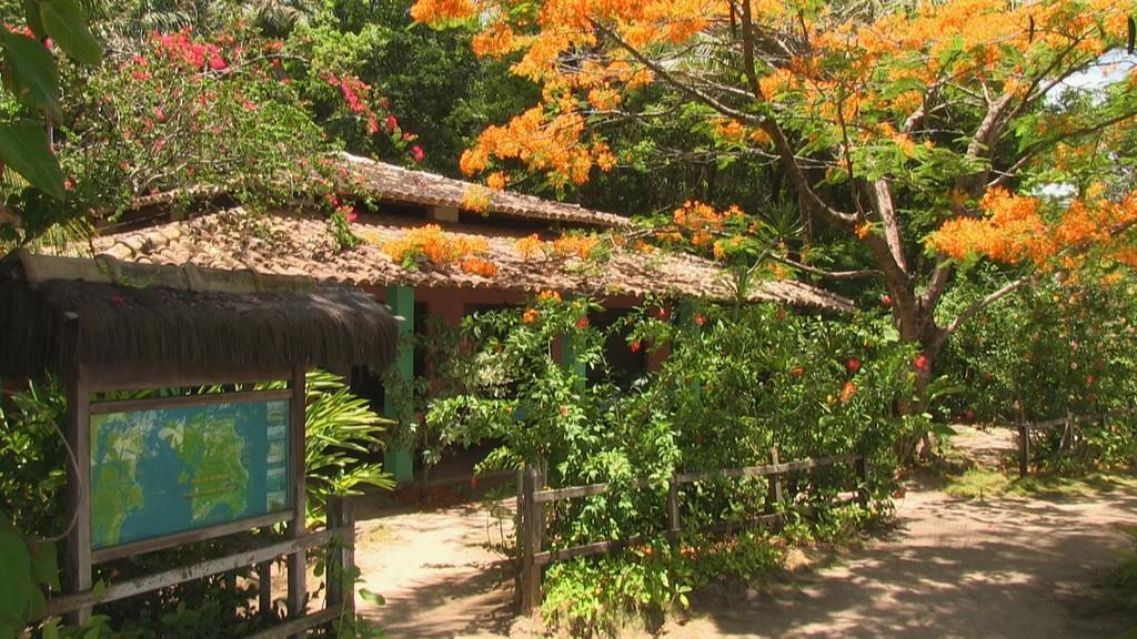 Pousada Tassimirim Velha Boipeba Exterior foto