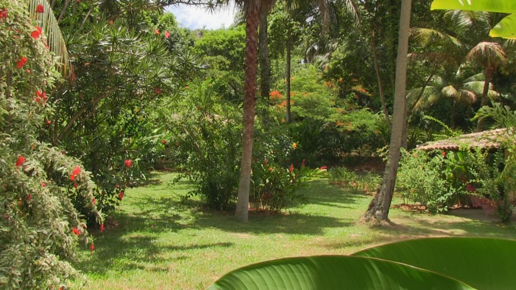 Pousada Tassimirim Velha Boipeba Exterior foto