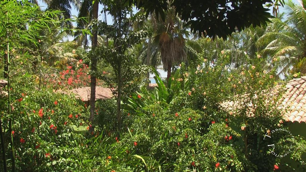 Pousada Tassimirim Velha Boipeba Exterior foto
